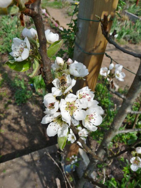  - 2022 - 01 - Primavara