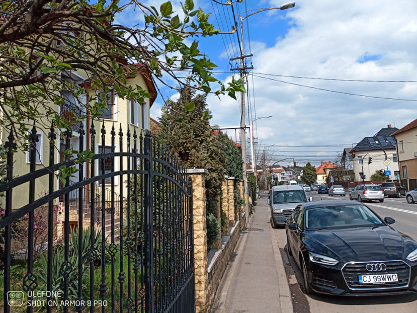  - Pictures from Klausenburg part 3 April 21 year 2022