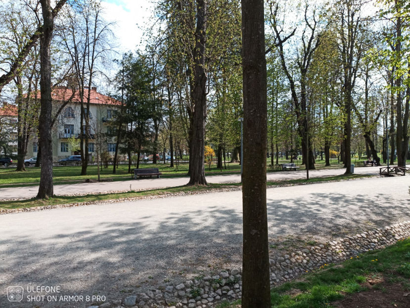  - Pictures from Klausenburg part 3 April 21 year 2022