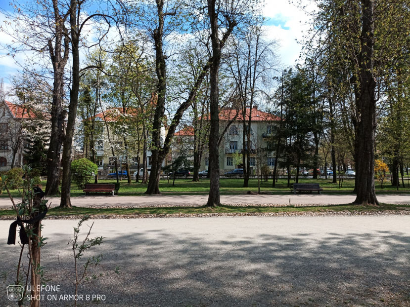  - Pictures from Klausenburg part 3 April 21 year 2022