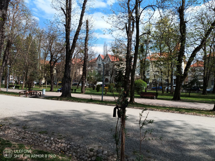  - Pictures from Klausenburg part 3 April 21 year 2022