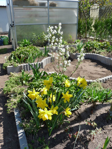  - 2022 - 01 - Primavara