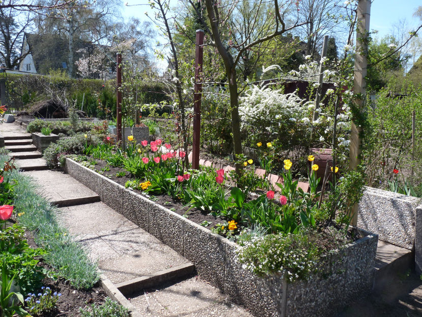  - 2022 - 01 - Primavara