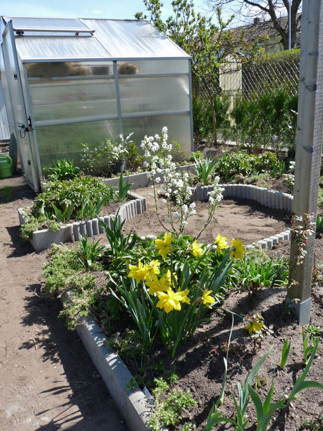  - 2022 - 01 - Primavara