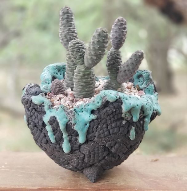 Emilio Martinez - Tephrocactus articulatus inermis - Vase - aranjamente - accesorii