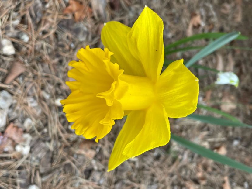 ABAB965F-BCA6-4617-B49C-0094E2D9A783 - NARTIJI