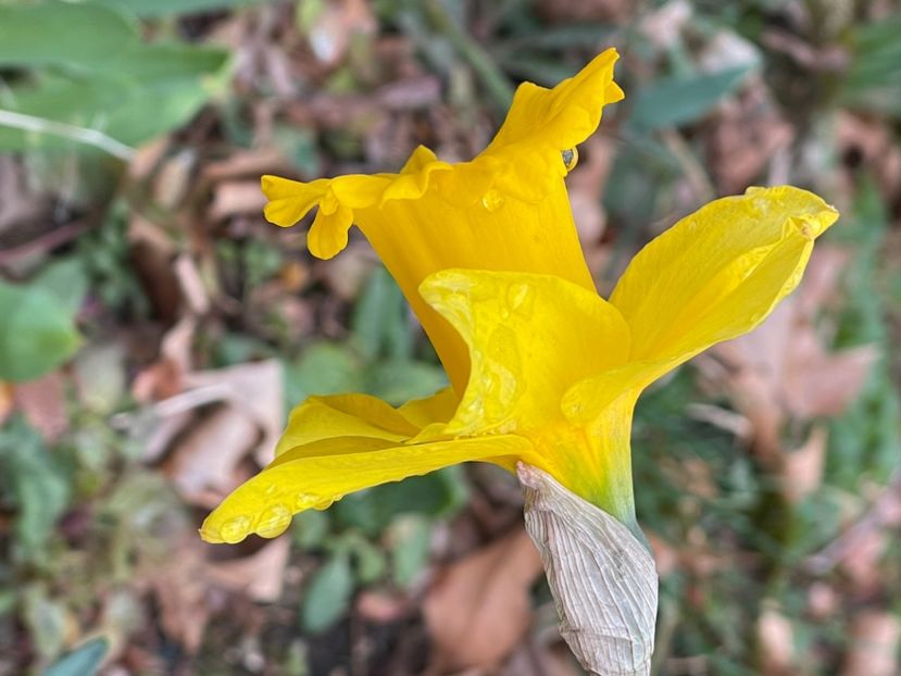 AA6C73AF-79E8-483C-8715-13FF17EEE2A4 - NARTIJI