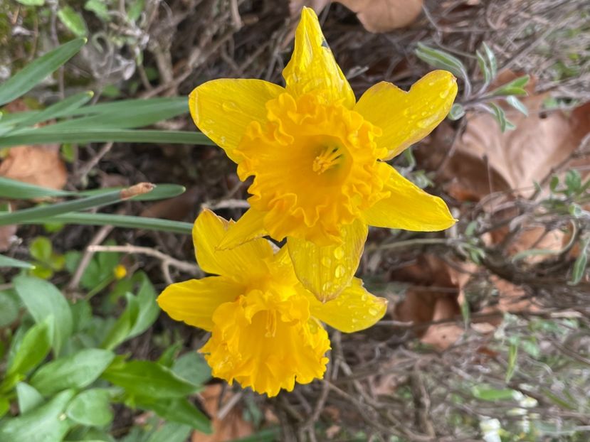 37106650-9343-483F-83D5-3C23869173D1 - NARTIJI