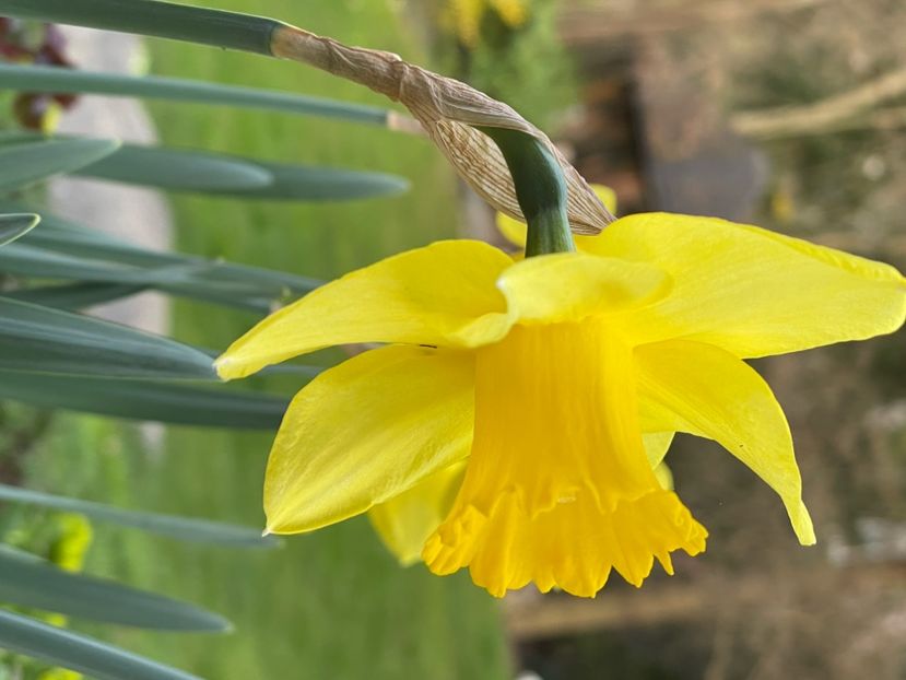 BC13FA61-286B-4A85-BDBC-9F940D3AB0FC - NARTIJI