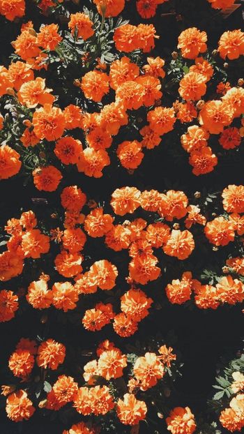 Friday: Be peacefully - Mystic Feelings