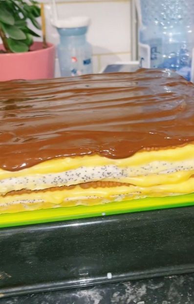 Screenshot_20220422-122337_TikTok - Prajitura cu mac crema de vanilie biscuiti si fineti