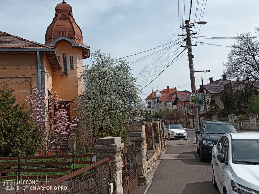  - Pictures from Klausenburg part 3 April 21 year 2022