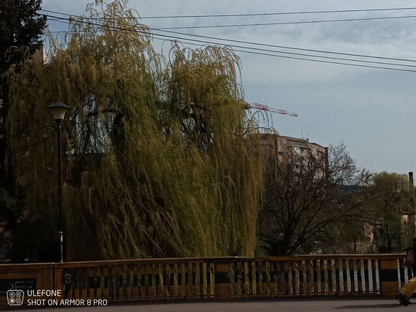  - Pictures from Klausenburg part 3 April 21 year 2022