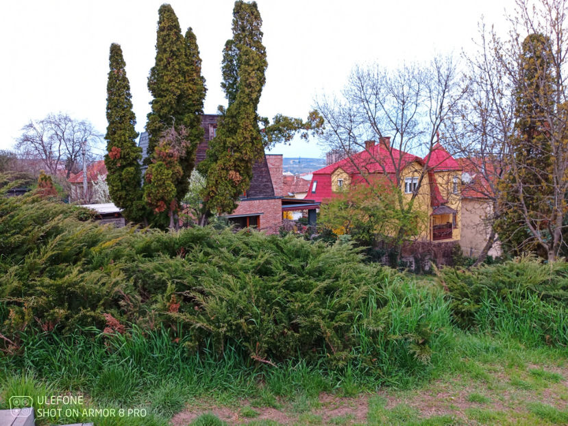  - Pictures from Klausenburg part 3 April 21 year 2022