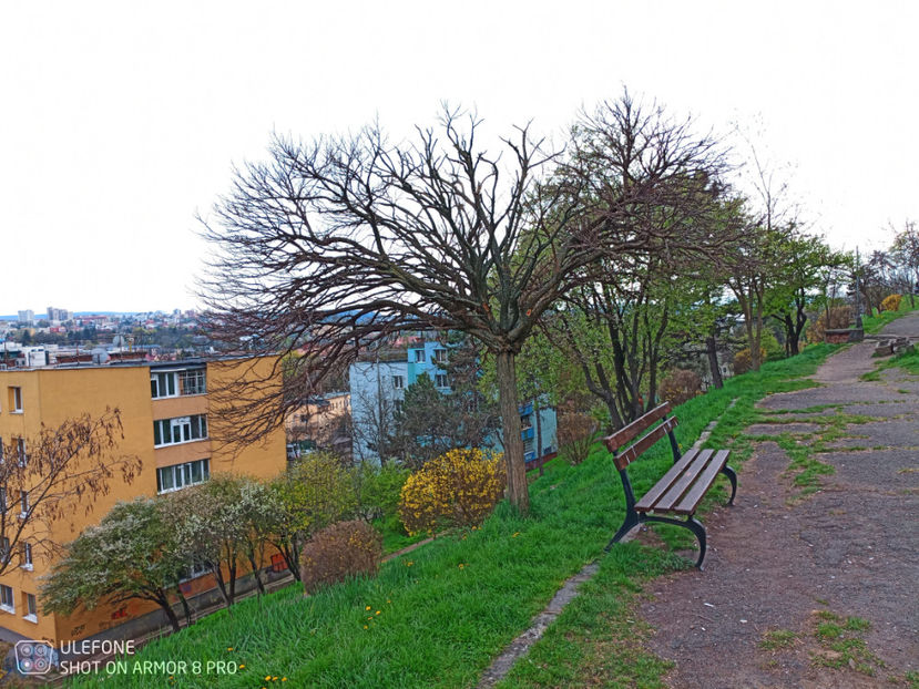  - Pictures from Klausenburg part 3 April 21 year 2022