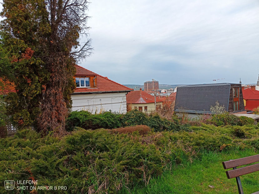  - Pictures from Klausenburg part 3 April 21 year 2022