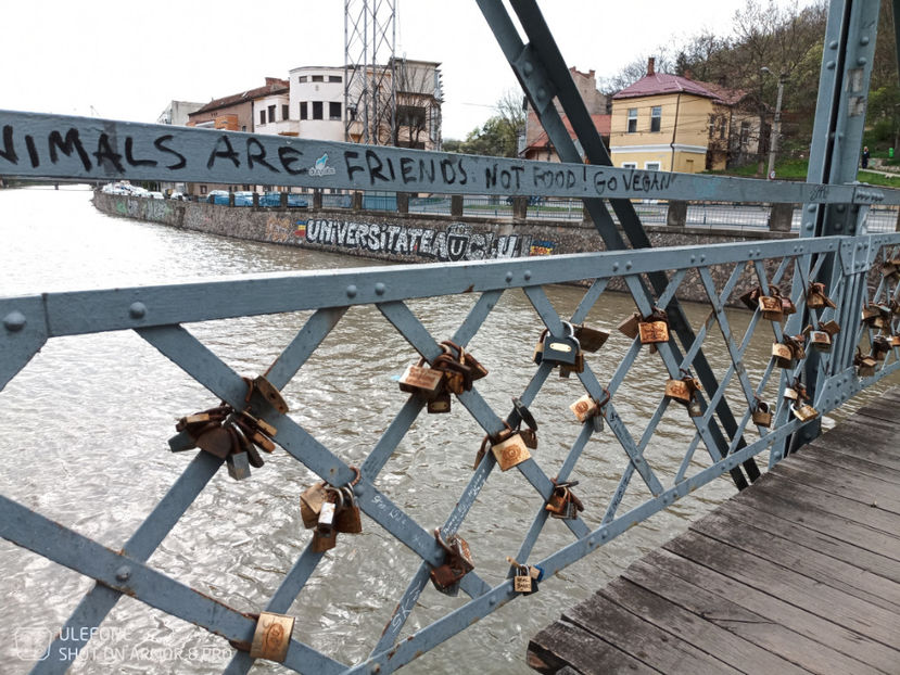  - Pictures from Klausenburg part 3 April 21 year 2022