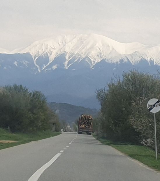  - Căciulata 2022 1