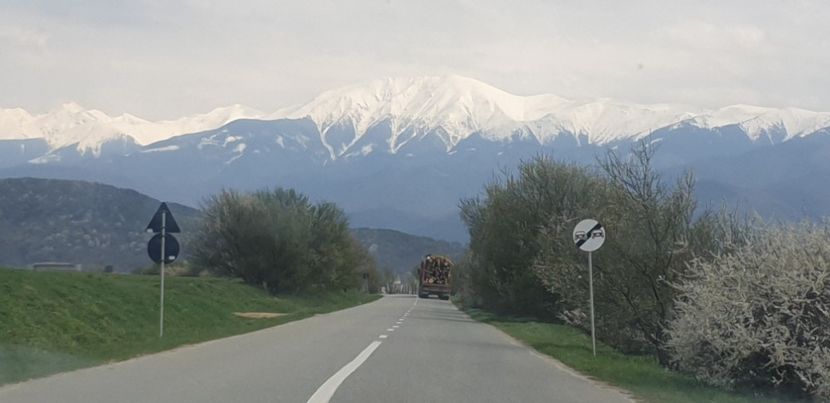  - Căciulata 2022 1