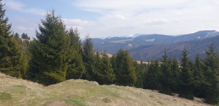  - Căciulata 2022 1