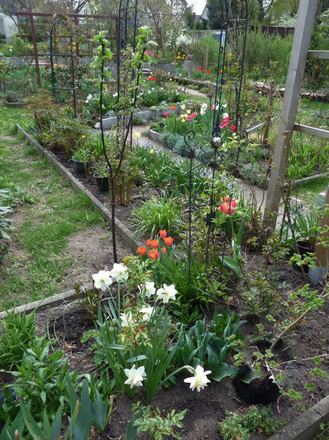  - 2022 - 01 - Primavara