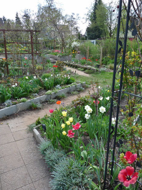  - 2022 - 01 - Primavara