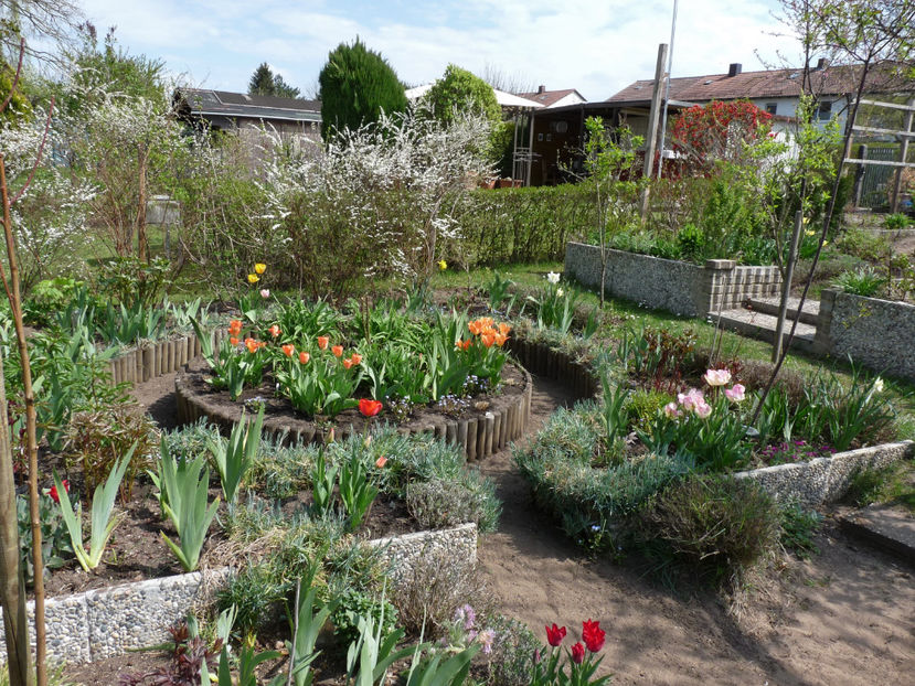  - 2022 - 01 - Primavara