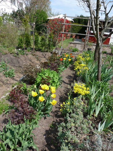  - 2022 - 01 - Primavara