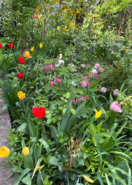 1B4B6AA2-2F02-440C-9291-CE3872E817C5 - Lalele 2022