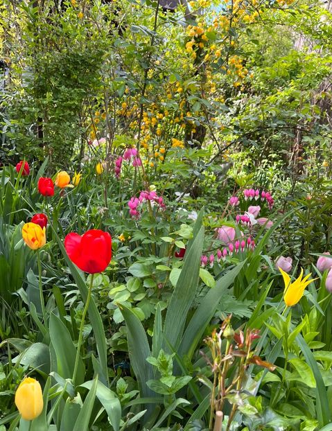 0A12E858-2F5C-4F82-A54D-AB4A0F3ABA23 - Lalele 2022