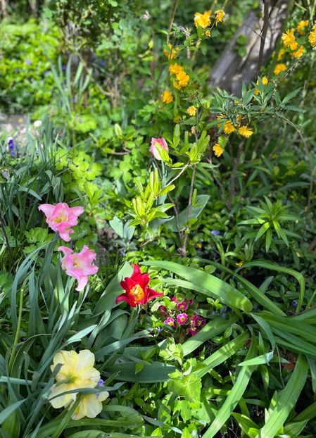 255BF8A4-D62C-49EE-8BE9-E438629D8A07 - Lalele 2022