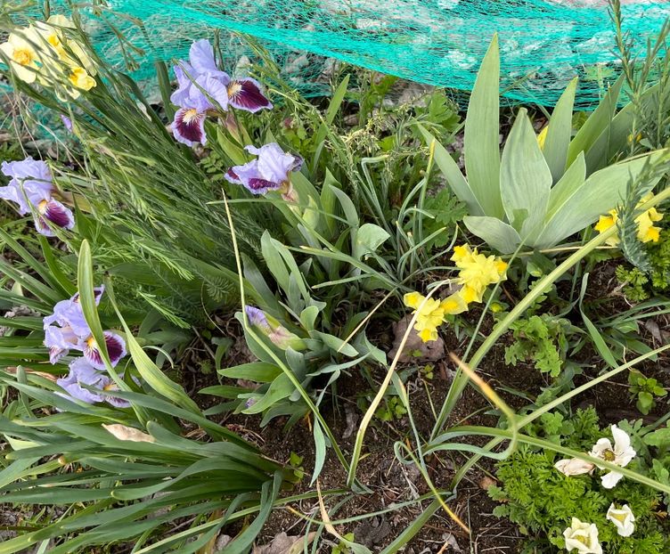 B65F78B4-6FB5-4DD0-813F-AC3342395E5E - IRISI 2021 22