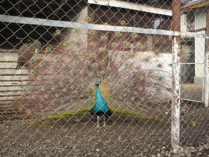 P1040088
