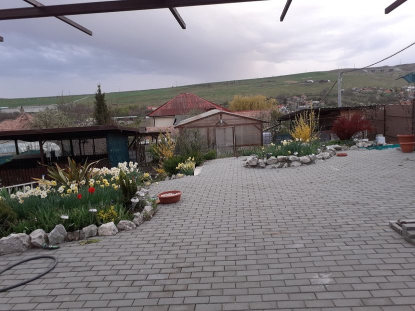  - Gradina 2022