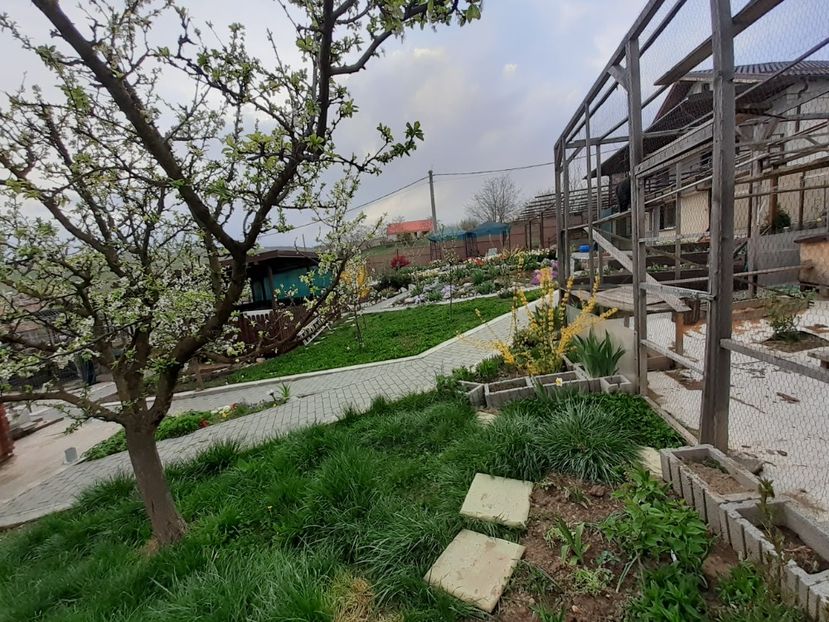  - Gradina 2022