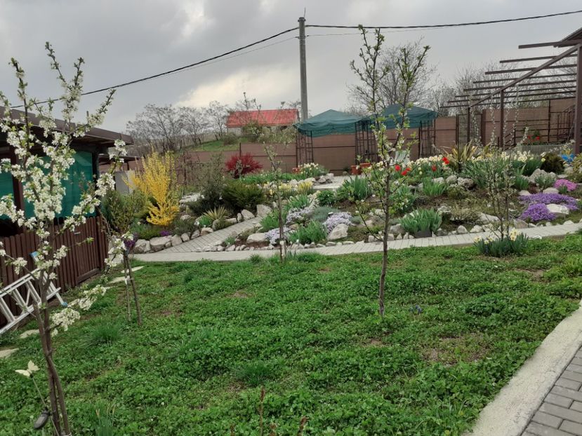  - Gradina 2022