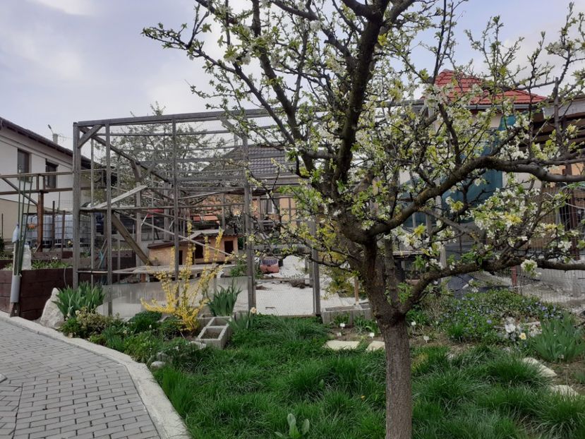  - Gradina 2022