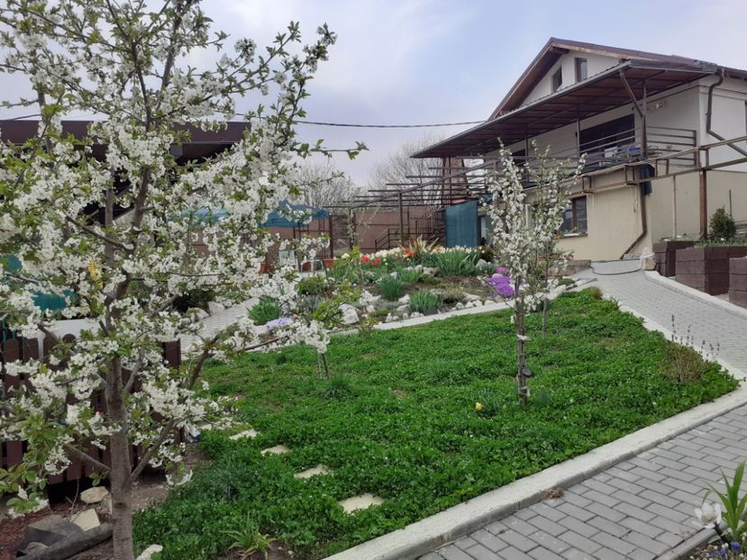  - Gradina 2022