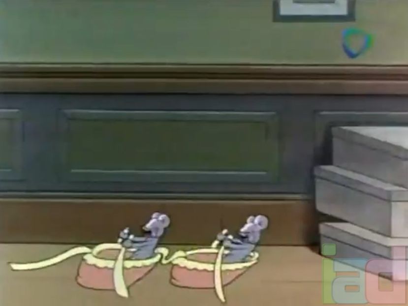 Color Rhapsodies - Color Rhapsodies