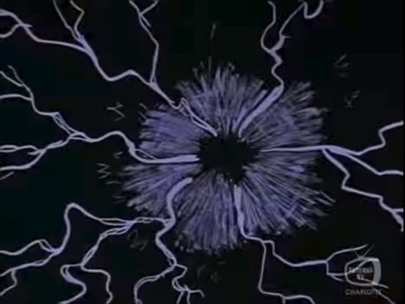 Color Rhapsodies - Color Rhapsodies