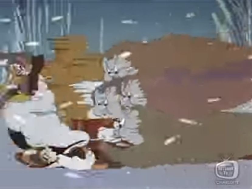 Color Rhapsodies - Color Rhapsodies