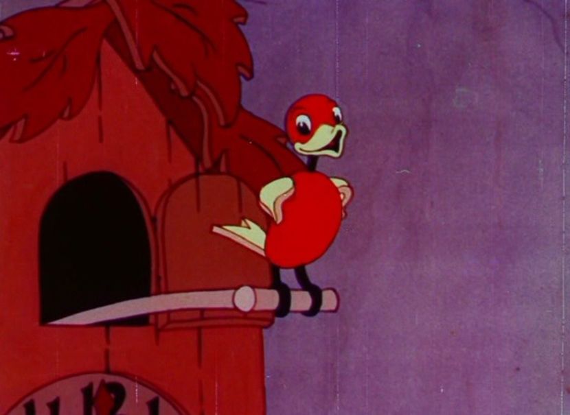 Color Rhapsodies - Color Rhapsodies