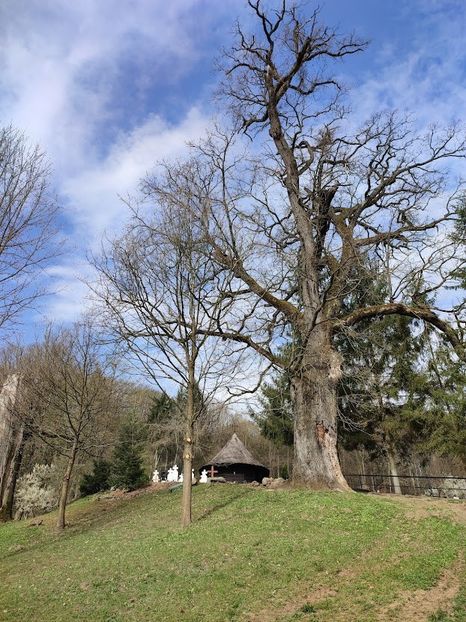  - 2022- excursie 9 aprilie