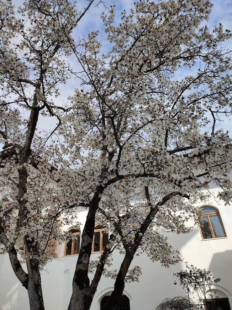  - 2022- excursie 9 aprilie