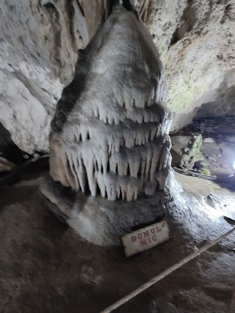  - 2022- excursie 9 aprilie