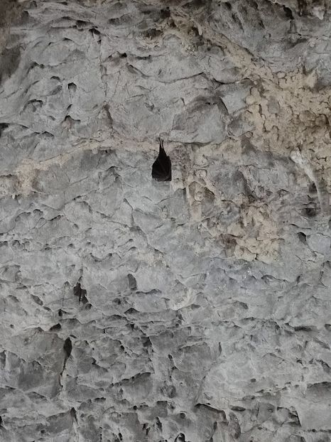  - 2022- excursie 9 aprilie