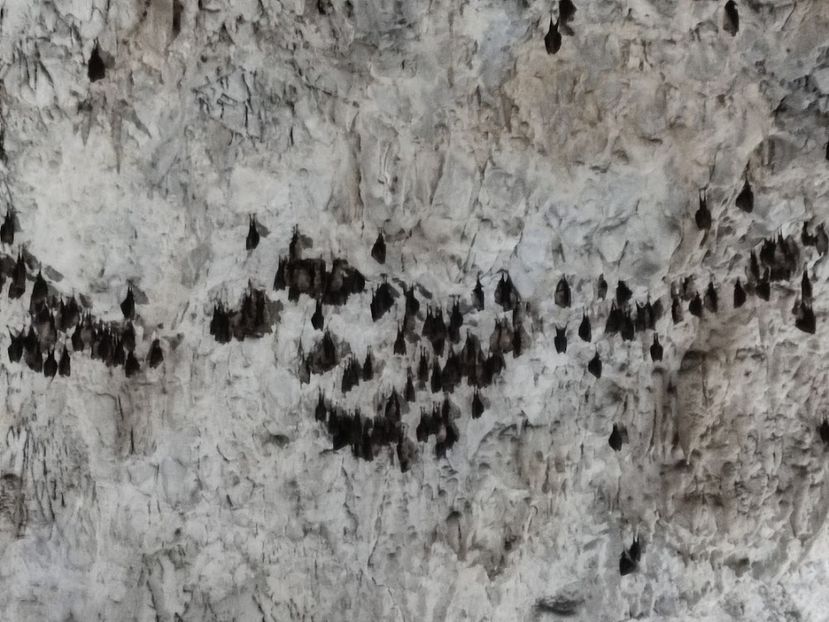  - 2022- excursie 9 aprilie