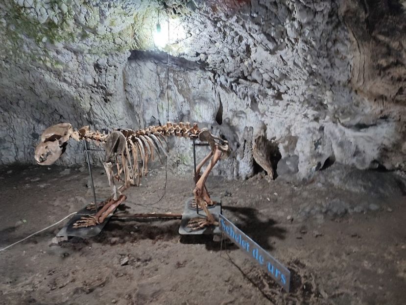  - 2022- excursie 9 aprilie