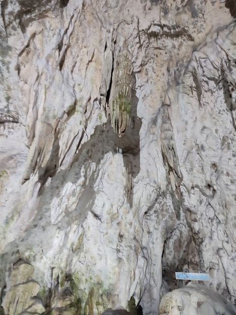  - 2022- excursie 9 aprilie