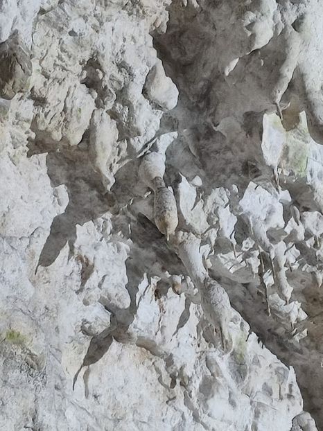  - 2022- excursie 9 aprilie